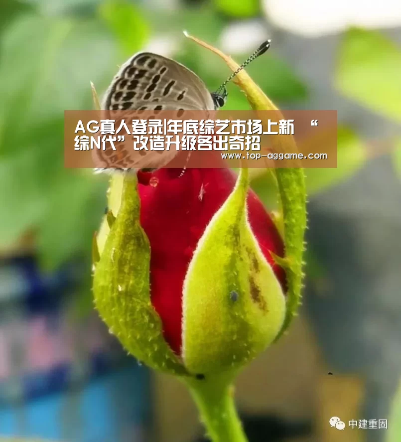 AG真人登录|年底综艺市场上新 “综N代”改造升级各出奇招(图3) AG真人互动