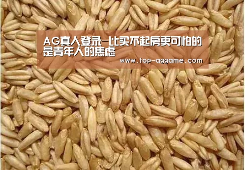 AG真人登录-比买不起房更可怕的是青年人的焦虑(图1) AG网址