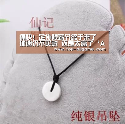 痛快!足协限薪令终于来了 球迷仍不买账 还是太高了‘AG网址’(图1) AG真人互动
